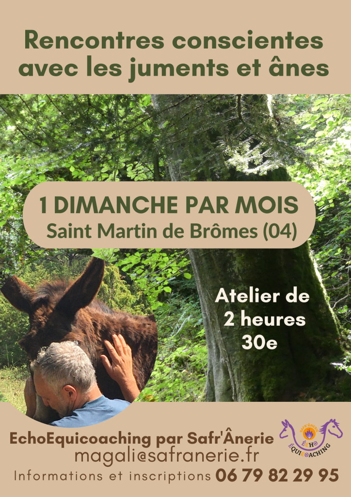 rencontres conscients chevaux ânes immersions troupeau