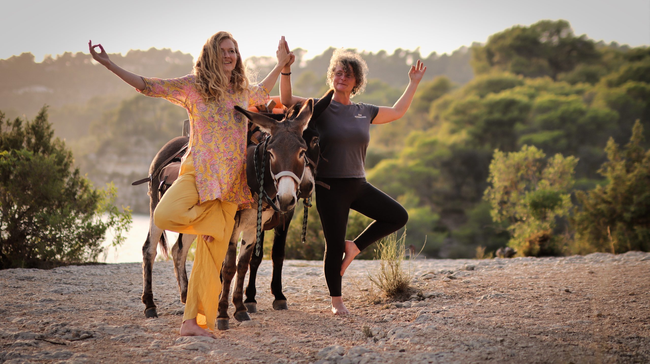 Rando ânes yoga verdon